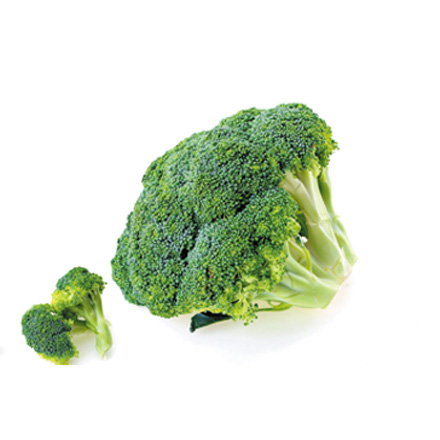 產品中心標題三